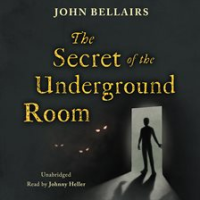 The_Secret_of_the_Underground_Room